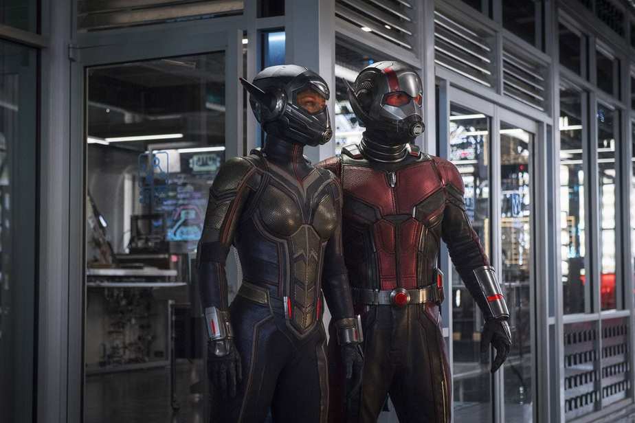 Ant Man And The Wasp Perro Blanco