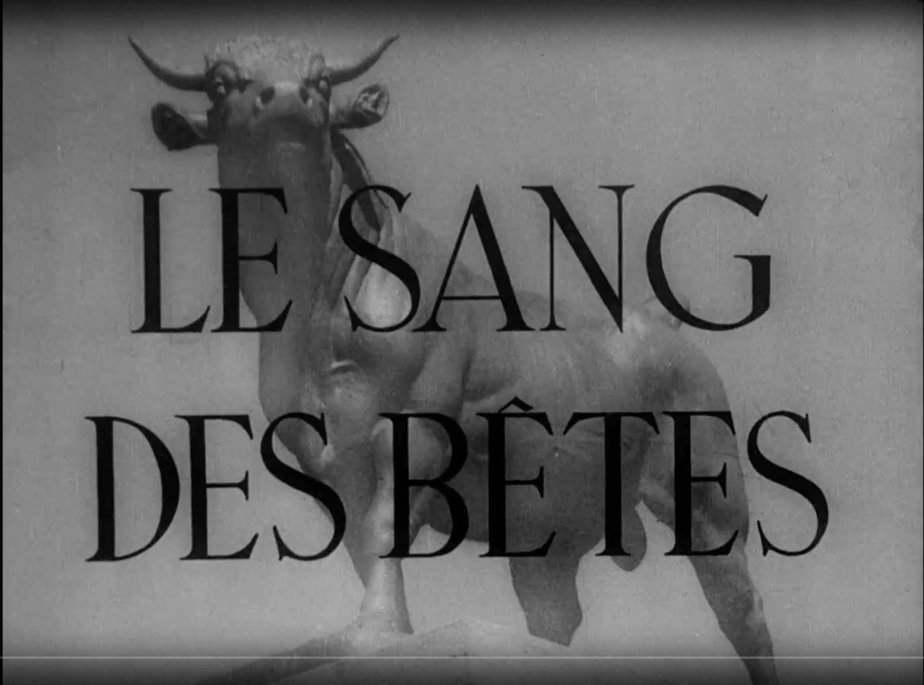 Le Sang Des Betes (Georges Franju, 1949)